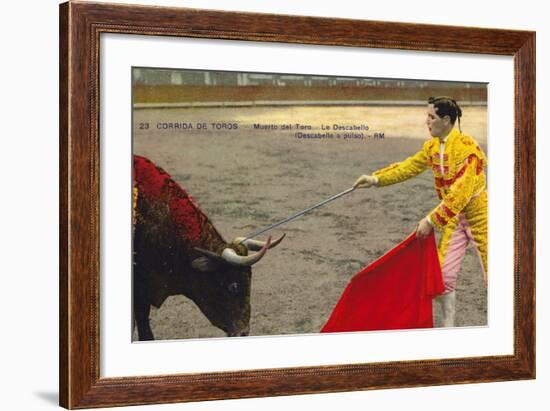 Bull Fight in Spain, Early 20th Century-null-Framed Photographic Print