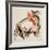 Bull Fight-Gerry Bosch-Framed Collectable Print