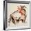 Bull Fight-Gerry Bosch-Framed Collectable Print