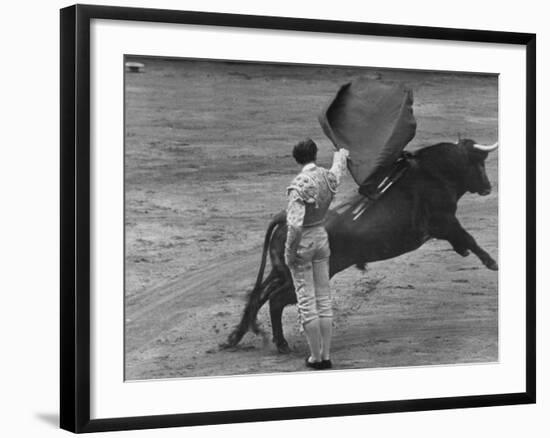 Bull Fighter Manolete Raising His Cape as Bull Charges Past Him in Bull Ring During Bull Fight-William C^ Shrout-Framed Premium Photographic Print