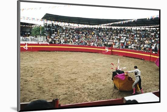 Bull Fighting, Tena, Ecuador, South America-Mark Chivers-Mounted Photographic Print