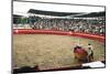 Bull Fighting, Tena, Ecuador, South America-Mark Chivers-Mounted Photographic Print