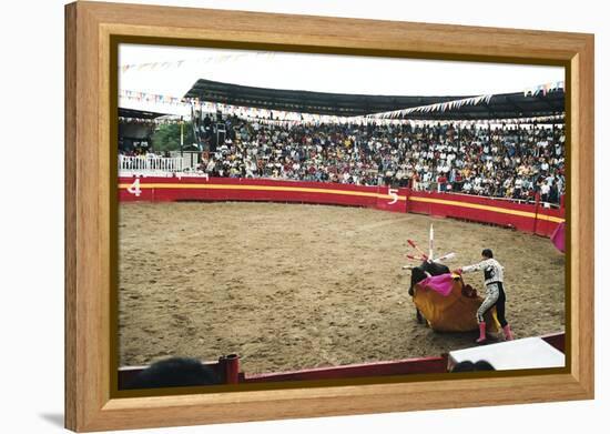 Bull Fighting, Tena, Ecuador, South America-Mark Chivers-Framed Premier Image Canvas