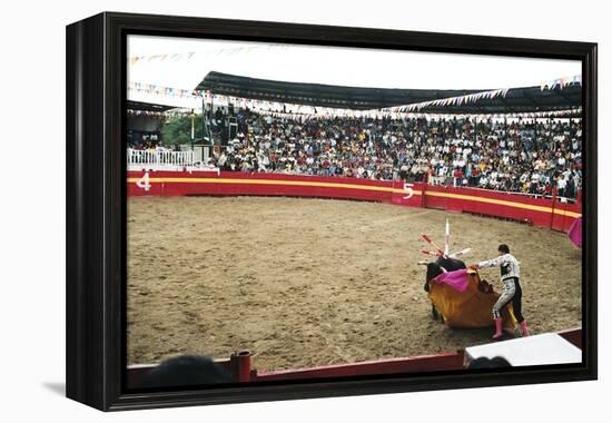 Bull Fighting, Tena, Ecuador, South America-Mark Chivers-Framed Premier Image Canvas