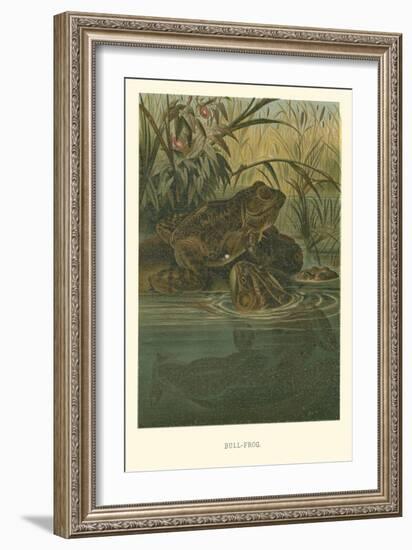 Bull-Frog-null-Framed Art Print