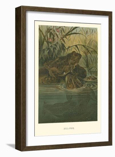 Bull-Frog-null-Framed Art Print