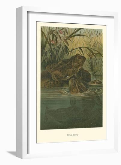 Bull-Frog-null-Framed Art Print