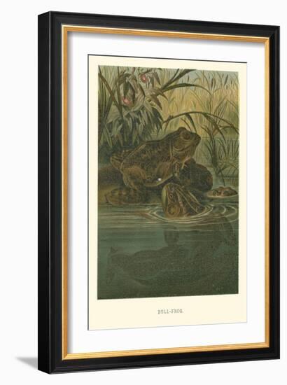 Bull-Frog-null-Framed Art Print