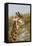 Bull Masai Giraffe Portrait with Ox Pecker, Ngorongoro, Tanzania-James Heupel-Framed Premier Image Canvas