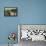 Bull Mastiff 12-Bob Langrish-Framed Premier Image Canvas displayed on a wall