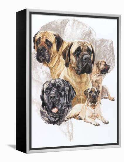 Bull Mastiff with Ghost-Barbara Keith-Framed Premier Image Canvas