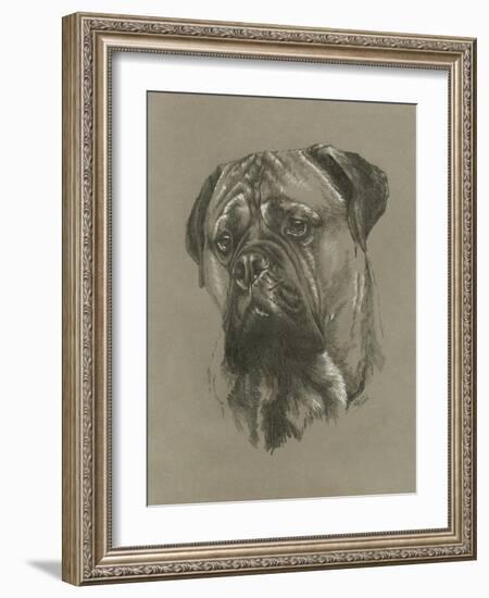 Bull Mastiff-Barbara Keith-Framed Giclee Print