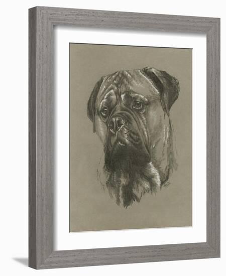 Bull Mastiff-Barbara Keith-Framed Giclee Print