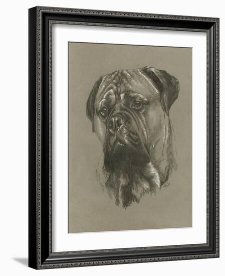 Bull Mastiff-Barbara Keith-Framed Giclee Print