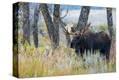 Stretched Canvas Print
