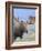 Bull Moose, Denali National Park, Alaska, USA-Hugh Rose-Framed Photographic Print