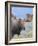 Bull Moose, Denali National Park, Alaska, USA-Hugh Rose-Framed Photographic Print