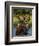 Bull Moose Feeding in Glacier National Park, Montana, USA-Chuck Haney-Framed Photographic Print