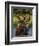 Bull Moose Feeding in Glacier National Park, Montana, USA-Chuck Haney-Framed Photographic Print