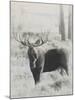 Bull Moose - Vintage-Wink Gaines-Mounted Giclee Print