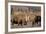 Bull Moose Wildlife, Denali National Park, Alaska, USA-Gerry Reynolds-Framed Photographic Print