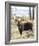 Bull Moose-Wink Gaines-Framed Giclee Print