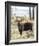 Bull Moose-Wink Gaines-Framed Giclee Print