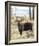 Bull Moose-Wink Gaines-Framed Giclee Print