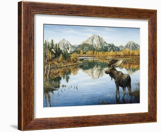 Bull Moose-Jeff Tift-Framed Giclee Print