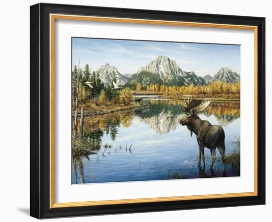 Bull Moose-Jeff Tift-Framed Giclee Print