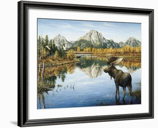 Bull Moose-Jeff Tift-Framed Giclee Print