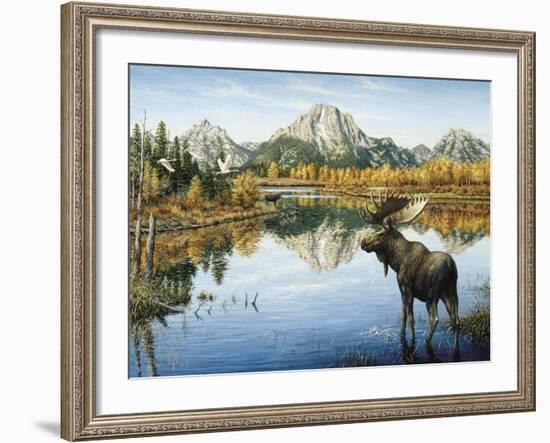 Bull Moose-Jeff Tift-Framed Giclee Print