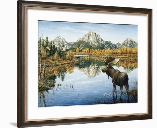 Bull Moose-Jeff Tift-Framed Giclee Print