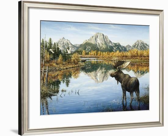 Bull Moose-Jeff Tift-Framed Giclee Print