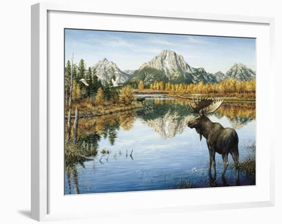 Bull Moose-Jeff Tift-Framed Giclee Print