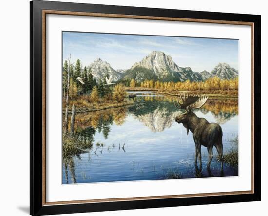 Bull Moose-Jeff Tift-Framed Giclee Print