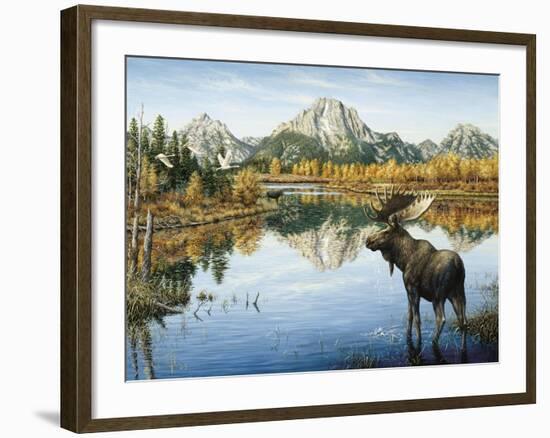 Bull Moose-Jeff Tift-Framed Giclee Print