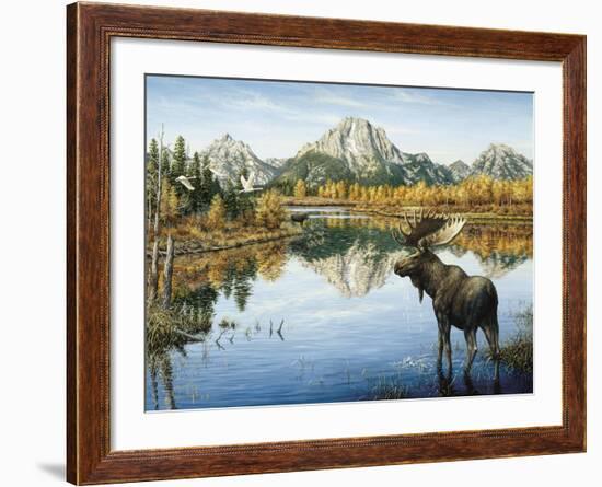 Bull Moose-Jeff Tift-Framed Giclee Print