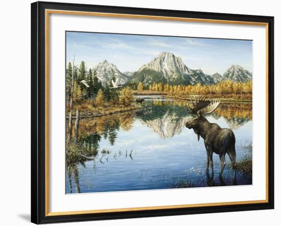 Bull Moose-Jeff Tift-Framed Giclee Print