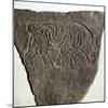 Bull motif on Pictish incised stone, Burghead, Moray, Scotland, c6th - 7th century. Artist: Unknown-Unknown-Mounted Giclee Print