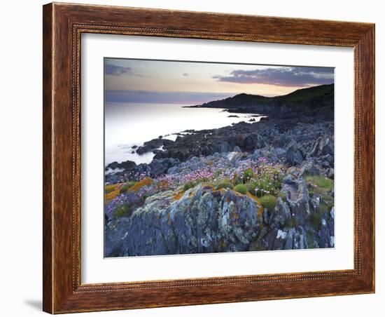 Bull Point, North Devon, Devon, England, United Kingdom, Europe-Jeremy Lightfoot-Framed Photographic Print