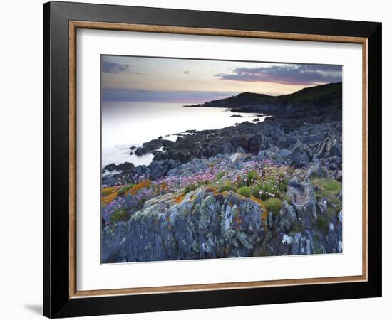 Bull Point, North Devon, Devon, England, United Kingdom, Europe-Jeremy Lightfoot-Framed Photographic Print