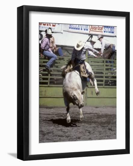 Bull Riding, Utah, USA-null-Framed Photographic Print