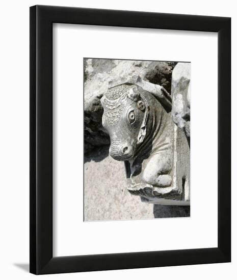 Bull's head, Cumae, near Naples, Italy-Werner Forman-Framed Photographic Print