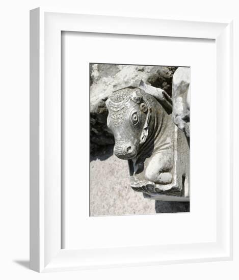 Bull's head, Cumae, near Naples, Italy-Werner Forman-Framed Photographic Print