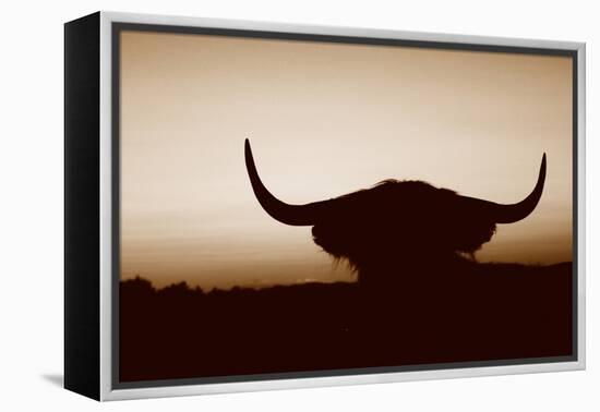 Bull Set Sepia Crop-Nathan Larson-Framed Premier Image Canvas