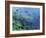 Bull Shark Swimming Through Fish-null-Framed Photographic Print