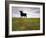 Bull Statue, Toros De Osborne, Andalucia, Spain-Gavin Hellier-Framed Photographic Print