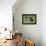 Bull Terrier 01-Bob Langrish-Framed Premier Image Canvas displayed on a wall