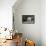 Bull Terrier 02-Bob Langrish-Framed Premier Image Canvas displayed on a wall